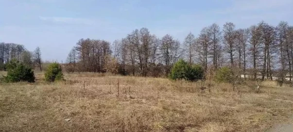 Фото 1. Ділянка, продаж. Маковище