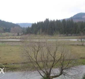 Photo 4. Lot, for sale. Mizhhiria