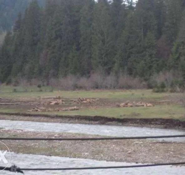 Photo 1. Lot, for sale. Mizhhiria