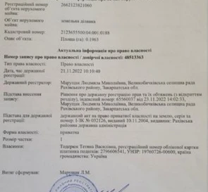 Photo 2. Lot, for sale. Velykyi Bychkiv