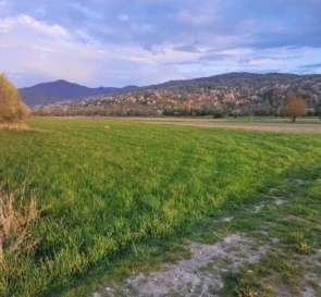 Photo 5. Lot, for sale. Velykyi Bychkiv