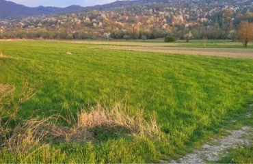 Photo Lot, for sale. Velykyi Bychkiv