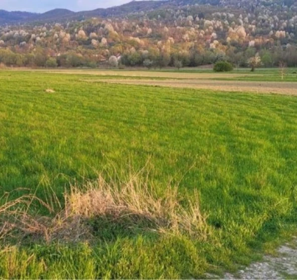 Photo 1. Lot, for sale. Velykyi Bychkiv