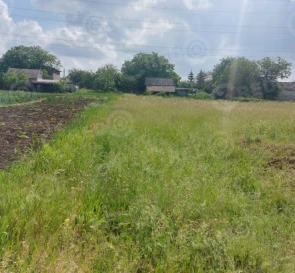 Photo 3. House, for sale. Lozuvatka