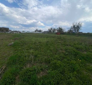 Фото 2. Ділянка, продаж. Васильків