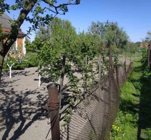 Фото 4. Участок, продажа. Триполье