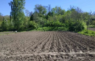 Photo Lot, for sale. Trypillia