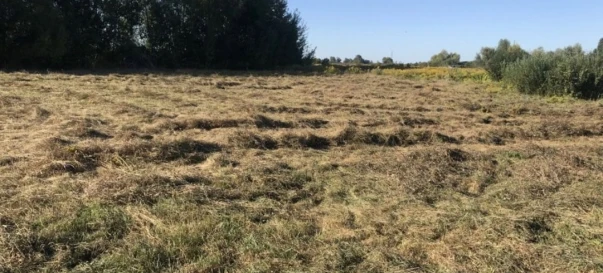 Photo 1. Lot, for sale. Pukhivka