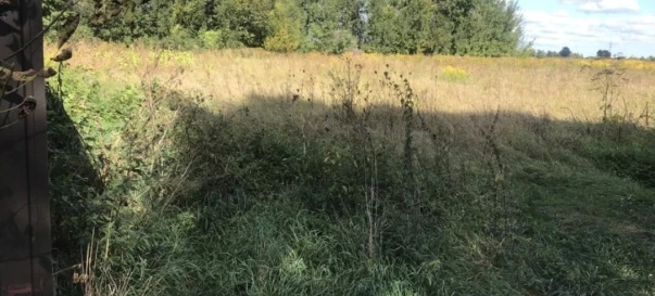 Photo 2. Lot, for sale. Pukhivka