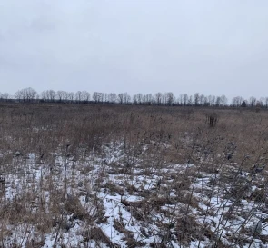 Фото 2. Ділянка, продаж. Проців