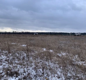 Фото 4. Ділянка, продаж. Проців