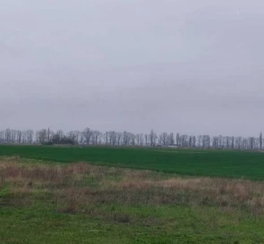 Фото 4. Ділянка, продаж. Глибоке