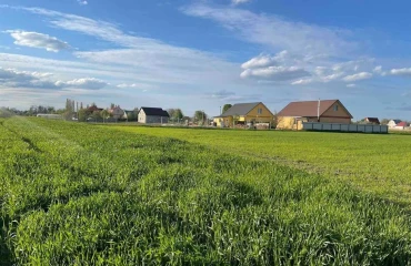 Photo Lot, for sale. Hlyboke