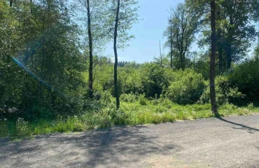 Photo Lot, for sale. Vita-Poshtova