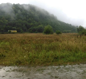 Photo 5. Lot, for sale. Svaliava