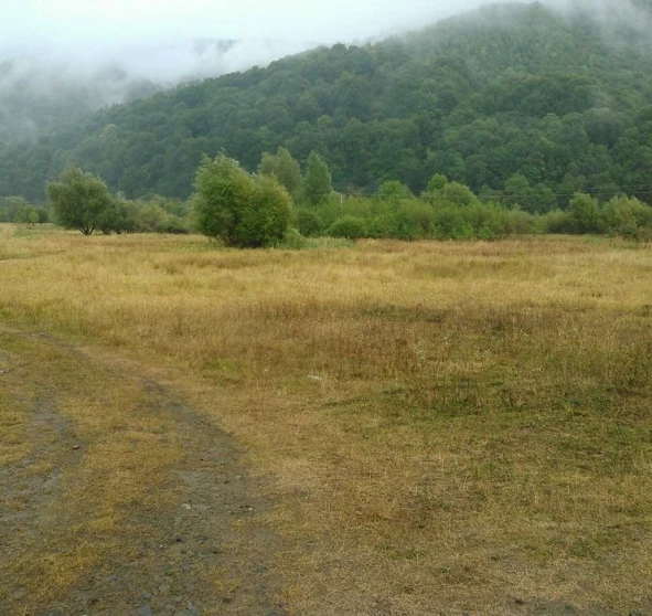 Photo 1. Lot, for sale. Svaliava