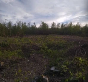 Фото 3. Ділянка, продаж. Хуст