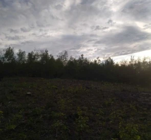 Фото 4. Ділянка, продаж. Хуст