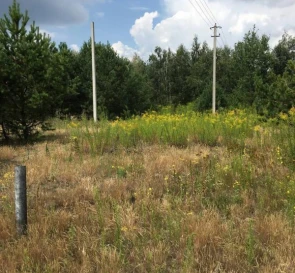 Фото 4. Ділянка, продаж. Загальці