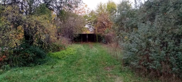Фото 2. Ділянка, продаж. Литвинівка