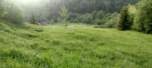 Фото 3. Участок, продажа. Хуст