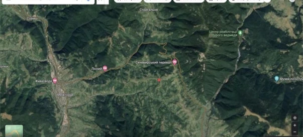 Photo 3. Lot, for sale. Mizhhiria