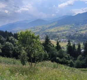 Фото 2. Участок, продажа. Ясиня