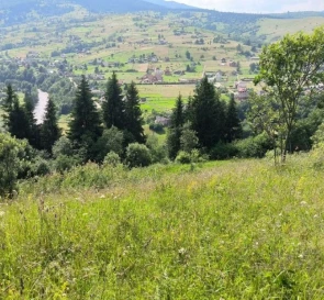 Фото 5. Участок, продажа. Ясиня