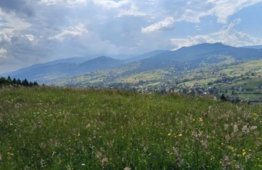 Photo Lot, for sale. Yasinia