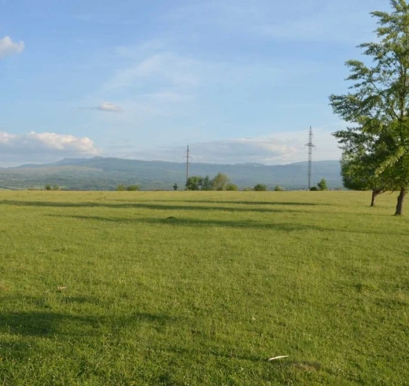 Photo 1. Lot, for sale. Teresva
