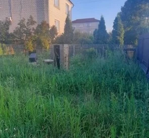 Photo 3. Lot, for sale. Zhornivka