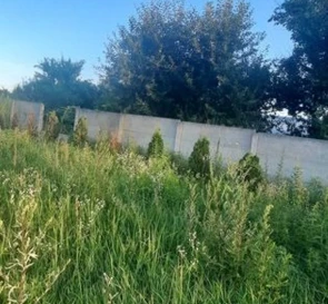 Photo 5. Lot, for sale. Zhornivka