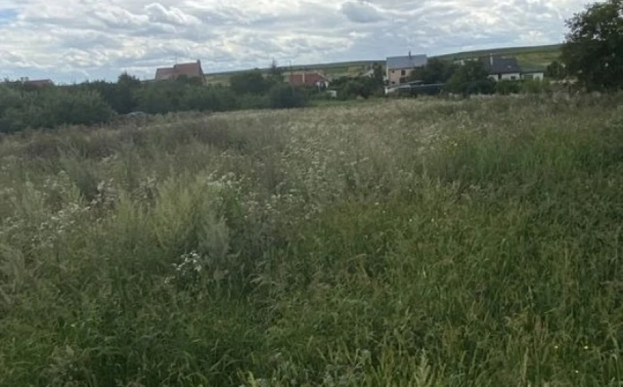 Фото 1. Ділянка, продаж. Ременів