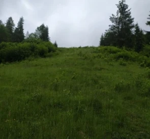 Photo 4. Lot, for sale. Slavske