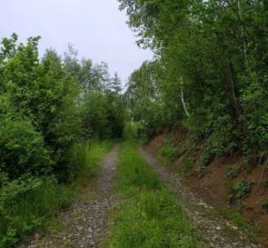 Photo 3. Lot, for sale. Slavske