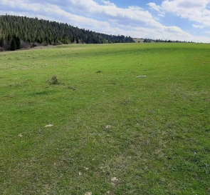 Photo 3. Lot, for sale. Turka