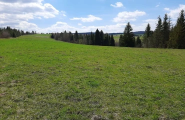 Фото Ділянка, продаж. Турка