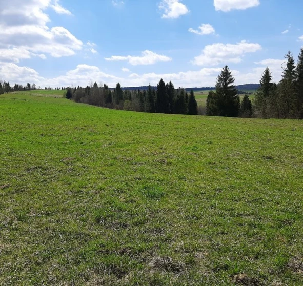 Photo 1. Lot, for sale. Turka