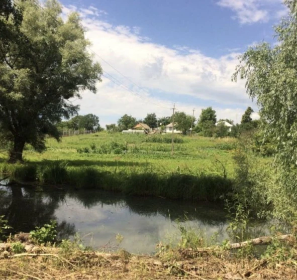 Фото 1. Будинок, продаж. Семенівка