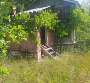 Фото 5. Ділянка, продаж. Плюти