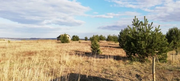 Фото 2. Ділянка, продаж. Залужжя