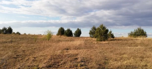 Фото 3. Ділянка, продаж. Залужжя