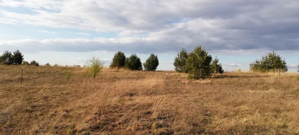 Фото 4. Ділянка, продаж. Залужжя
