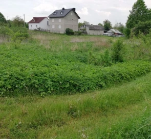 Photo 3. Lot, for sale. Tsetulia