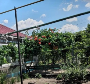 Фото 4. Дом, продажа. Ширяево