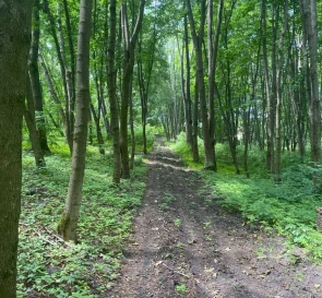 Фото 5. Ділянка, продаж. Барахти