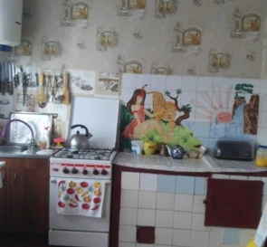 Photo 4. House, for sale. Khrystoforivka