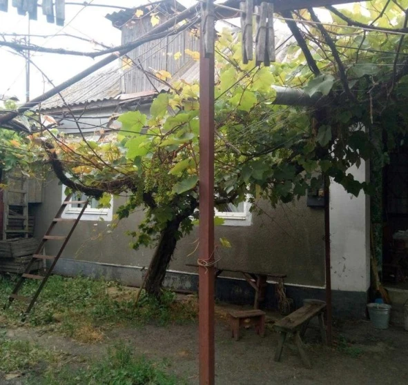 Фото 1. Дом, продажа. Чубовка