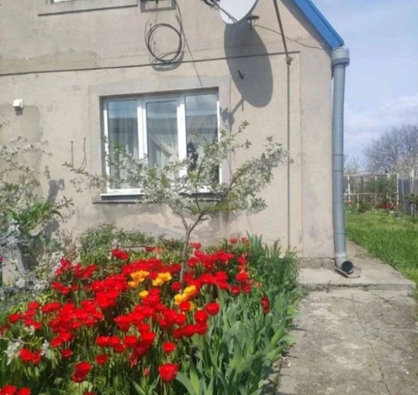 Фото 1. Дом, продажа. Нерубайское