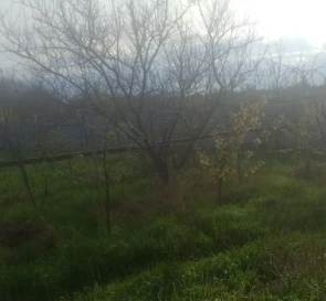 Фото 4. Дом, продажа. Подгородное